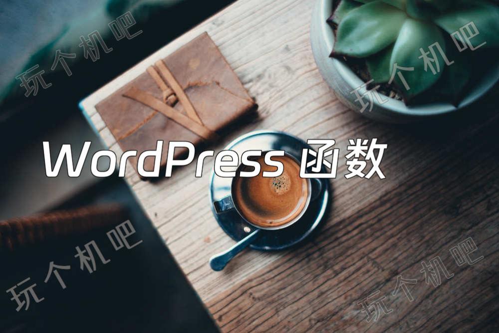 WordPress 函数：wp_enqueue_script() 安全引入 JS
